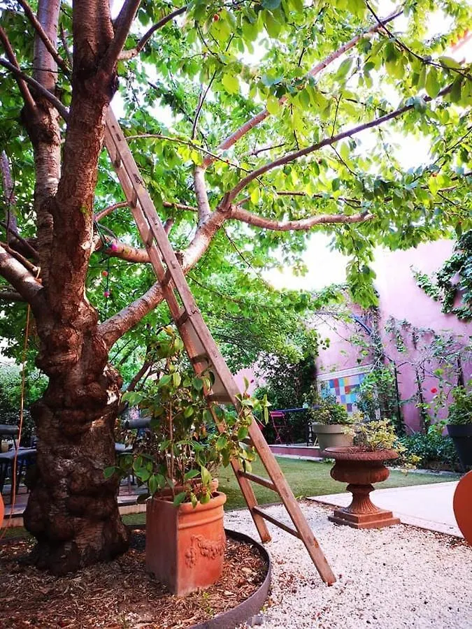 Bnb Jardin Vieux Port Panier Apartment Marseille Guest house