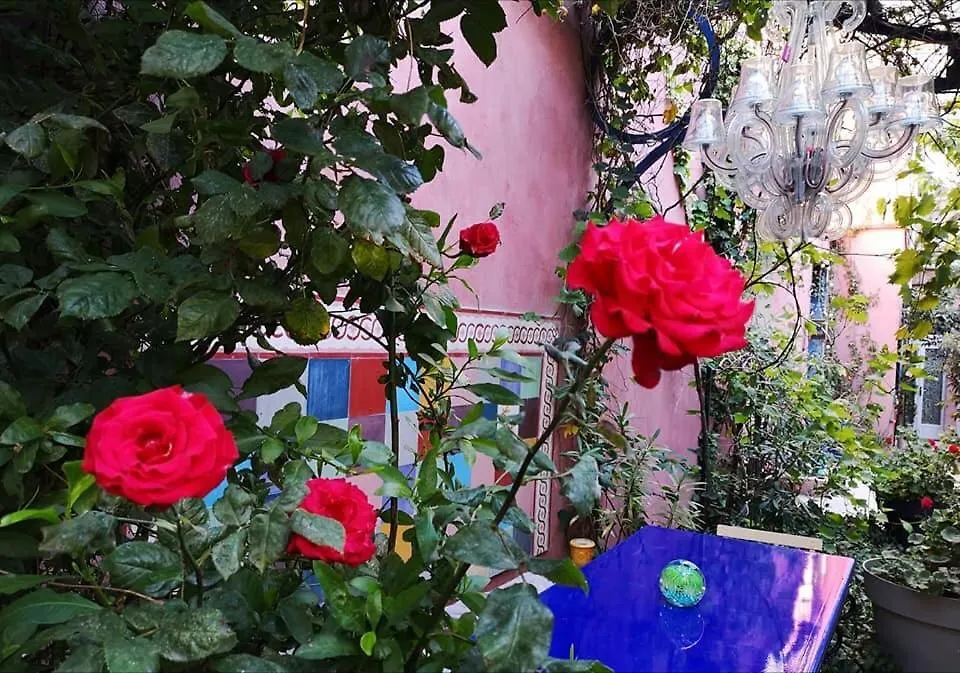 Bnb Jardin Vieux Port Panier Apartment Marseille